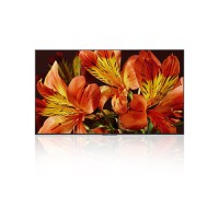 Vermietung von: Bildschirm Sony LED TV 85 Bildschirm Sony LED TV 85 – 4K Ultra HD